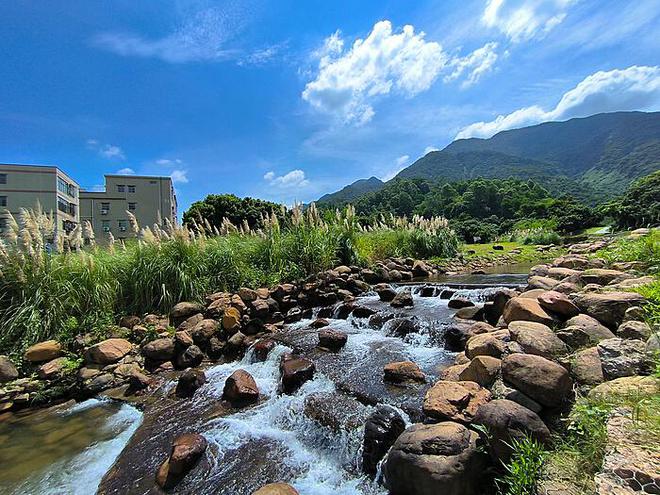 探索澳门旅游导航：0149导航澳门资料大全解析